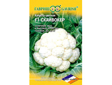 ������� ��������� F1 ������� ��� ��� 24,75 ���. [���.��000001039]