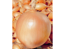 ������� 0,5��.jpg