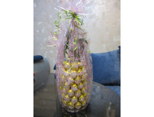 ������ � ��������