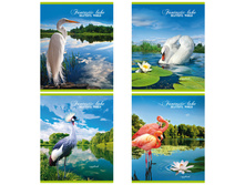 ������� 96�. �5 ������ ������������ ����� 29,45.jpg