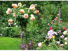 Marvelle 19.25 ����.jpg