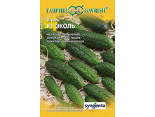 ������ ����� F1 8�� �.� 24,00 ���.