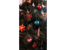 ����� �������4.bmp