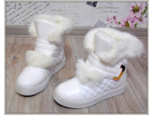 1700 ��� ��� ������ ���� ��������� �� ������.jpg