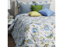 ��� Nensy �������� 50*70,70*70