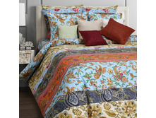 ��� Viva 2 �� 50*70,70*70