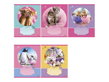 ������� 12�. ����� ������� 8,17.jpg