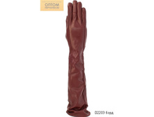 D2203 ����.jpg