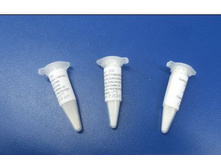 �������� ��� ��������� (Streptococcus thermophilus) �� 10 � ������, ������-�������.jpg