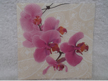 201.jpg �������� 5 ��