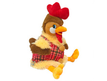 ���� ��������