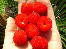 ������ ����������� ���������+17�