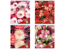 ������� 80�. �5 ������ ������ � ����� 27,56.jpg