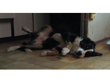 IMG 20161125 234829.jpg