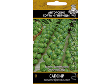 ������� ������ ������������� 0,5� ����� 9,10 ���.