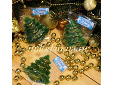 ������ ���������