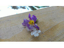 20 ������