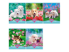 ������� 24�. ������ ����� �� 10,22.jpg