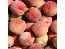 ������ �������� ������-505�.jpg