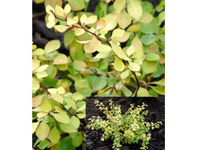 207���. �������� �������� ������ �������� ���17.jpg