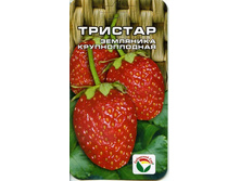 ��������� ������� ��� ��� 18,90 ���.