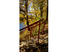 WP 20161002 10 32 15 Pro.jpg