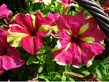 ������� ��������� ���� ������� ����� 46,21 ���.