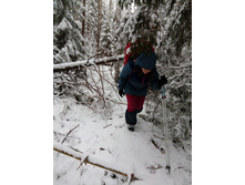 IMG 20161106 133921.jpg