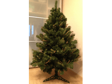 ����� �������.bmp