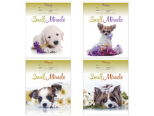 ������� 18�. ������ ��������� ����, ������� 10,31.jpg