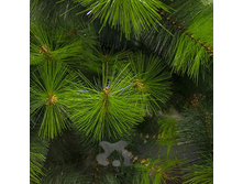 ���� HJ210-43 210�� 2-�����. 360����� ���.�����. ��� 00033556 2599,9���.jpg