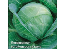 ������� ������������ ���������������� 8.jpg