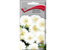 ������� ������ �����.jpg