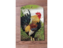 ����� ����������� ����� NY-17-4