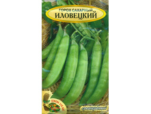 ����� ��������� ������� 10� ����� 10,90���. [���.��000003257]