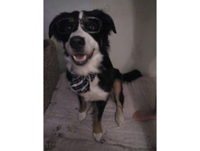 IMG 20161129 205238.jpg