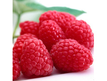 194���. ������ ������ ���16.jpg