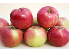 ������ ���� ������������ (�������)-180�.jpg