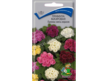 ������� �������� ������ ����� �������.jpg