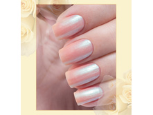 Poly-Chrome 328-60 ���.jpg