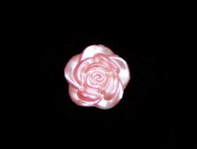 ����� �������.jpg