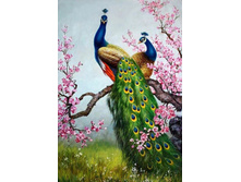 ��������� �������� 48-70 Ag 673.jpg