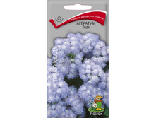 �������� ���� 9,01� 2��