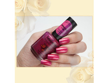 �������� t-08-95 ���.jpg