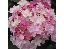 263���. ��������� �������������� � ��� �� ������ ���16.jpg