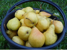 ����� ������ (�������)-210�.jpg