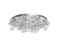 615010224 33000�.jpg