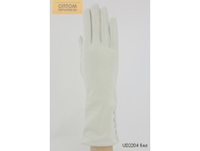 UD2204 ���.jpg