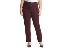Plus Size Gloria Vanderbilt Amanda Classic Tapered Jeans   $19.99