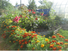 ����������� 009.jpg